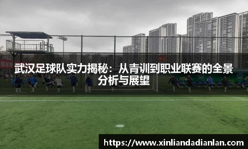 武汉足球队实力揭秘：从青训到职业联赛的全景分析与展望